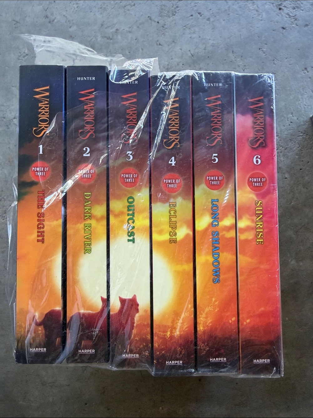 Warrior Cats Book Set - Power of Three